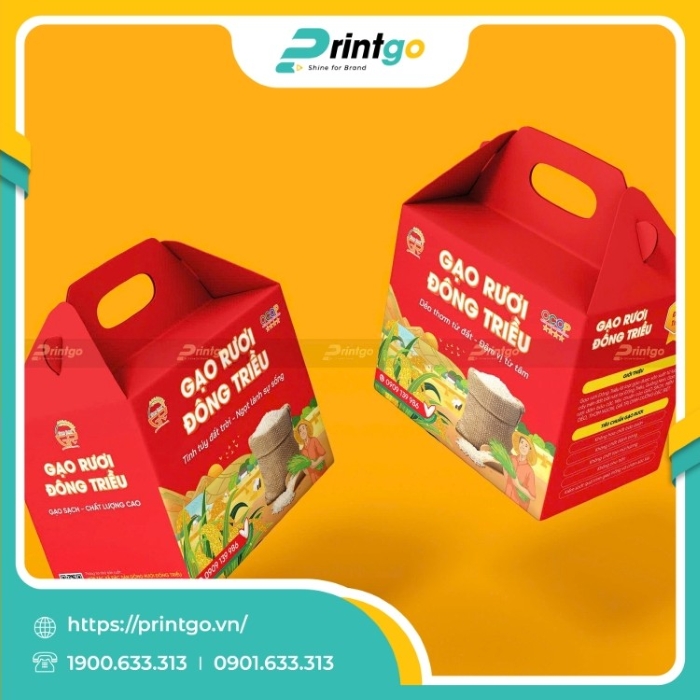 Catalog A4 cao cấp